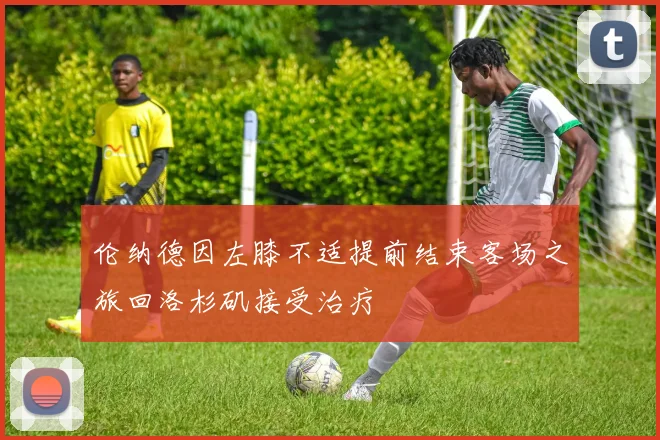 伦纳德因左膝不适提前结束客场之旅回洛杉矶接受治疗