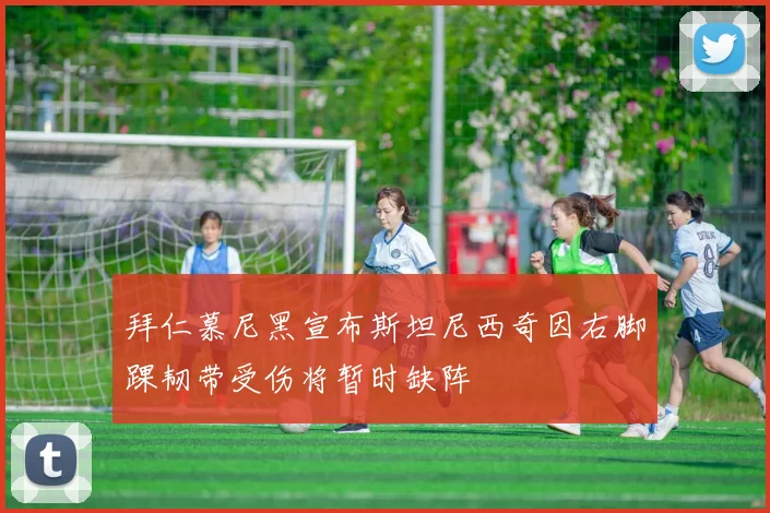 拜仁慕尼黑宣布斯坦尼西奇因右脚踝韧带受伤将暂时缺阵